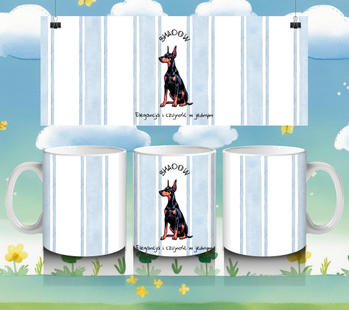 11.png